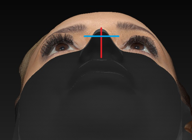 3D model of a face from below perspective.