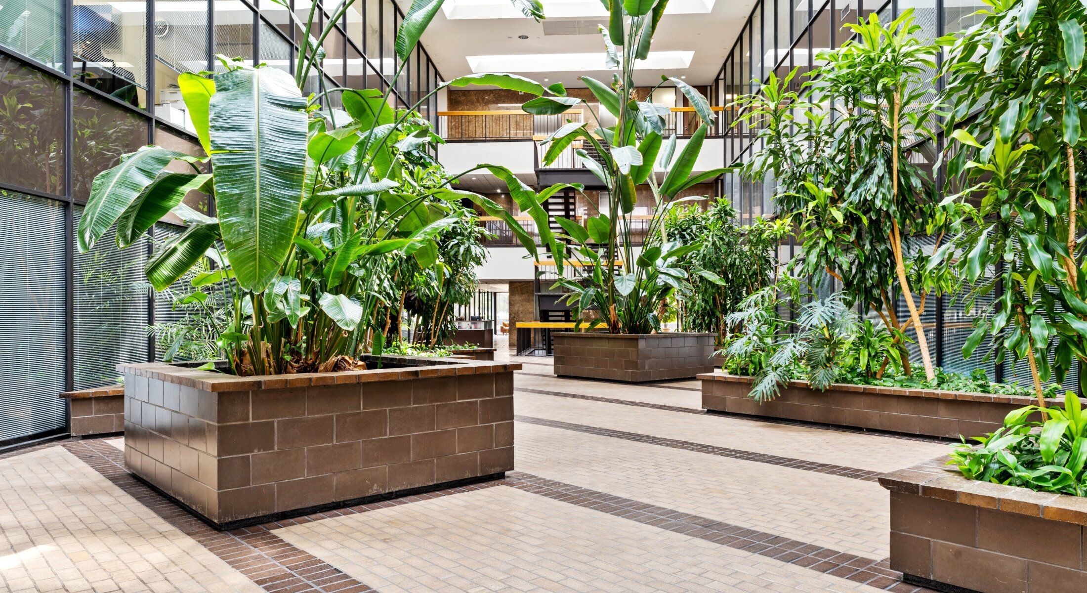 Indoor garden with tropical plants and greenery.